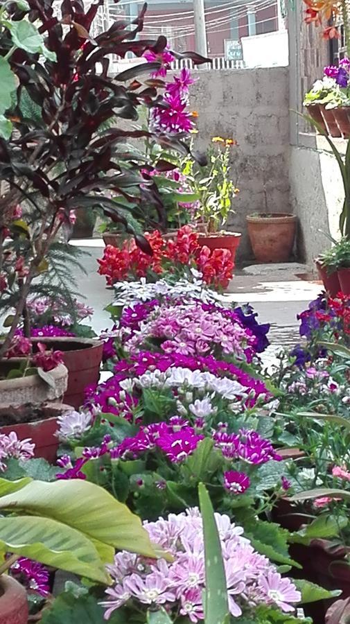 Hotel Buttercup Pokhara Luaran gambar